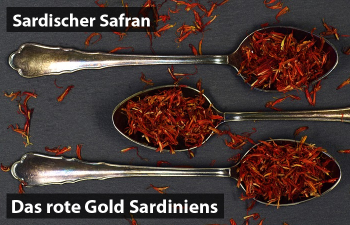 Sardischer Safran - Das rote Gold Sardiniens